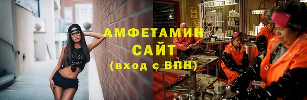 прущие грибы Абаза
