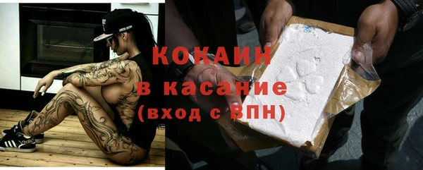 прущие грибы Абаза