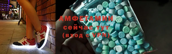 прущие грибы Абаза