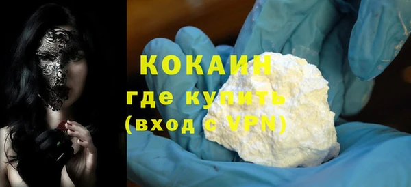 прущие грибы Абаза
