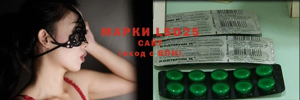прущие грибы Абаза