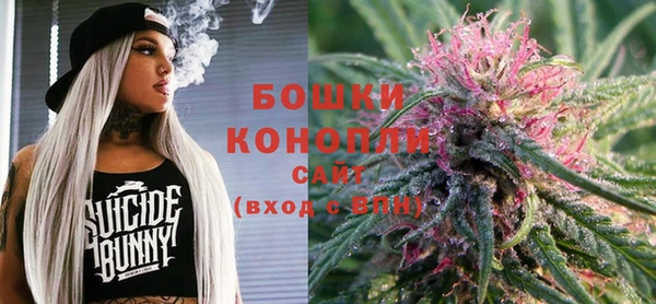 прущие грибы Абаза