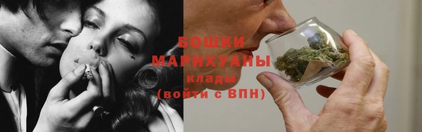 прущие грибы Абаза