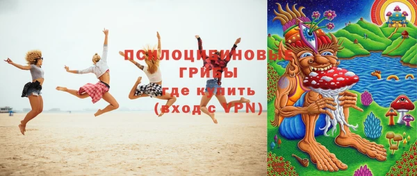 прущие грибы Абаза